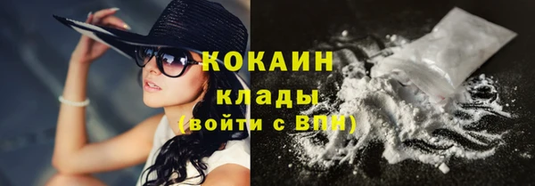 бошки Ельня