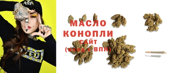 крисы Елабуга