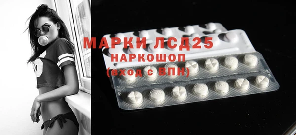 крисы Елабуга