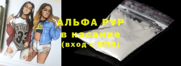 крисы Елабуга