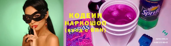 бошки Ельня