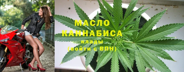 крисы Елабуга