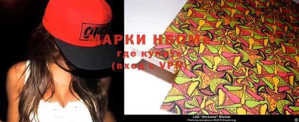 бошки Ельня