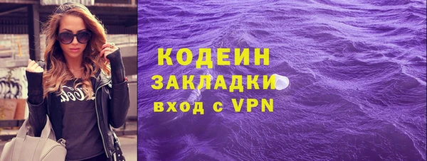 крисы Елабуга