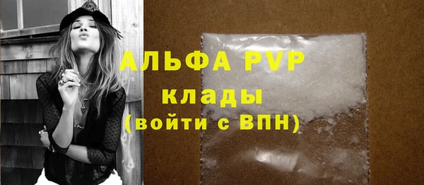 крисы Елабуга