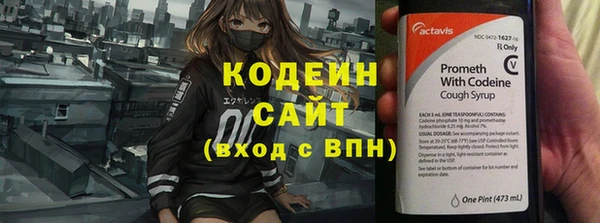 крисы Елабуга