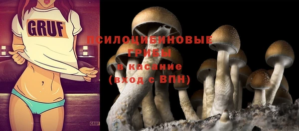 крисы Елабуга