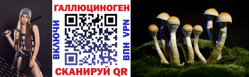 наркотики  Назрань  Псилоцибиновые грибы Cubensis 